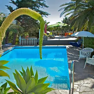 Casa Flores Ferienhaus Los Llanos De Aridane